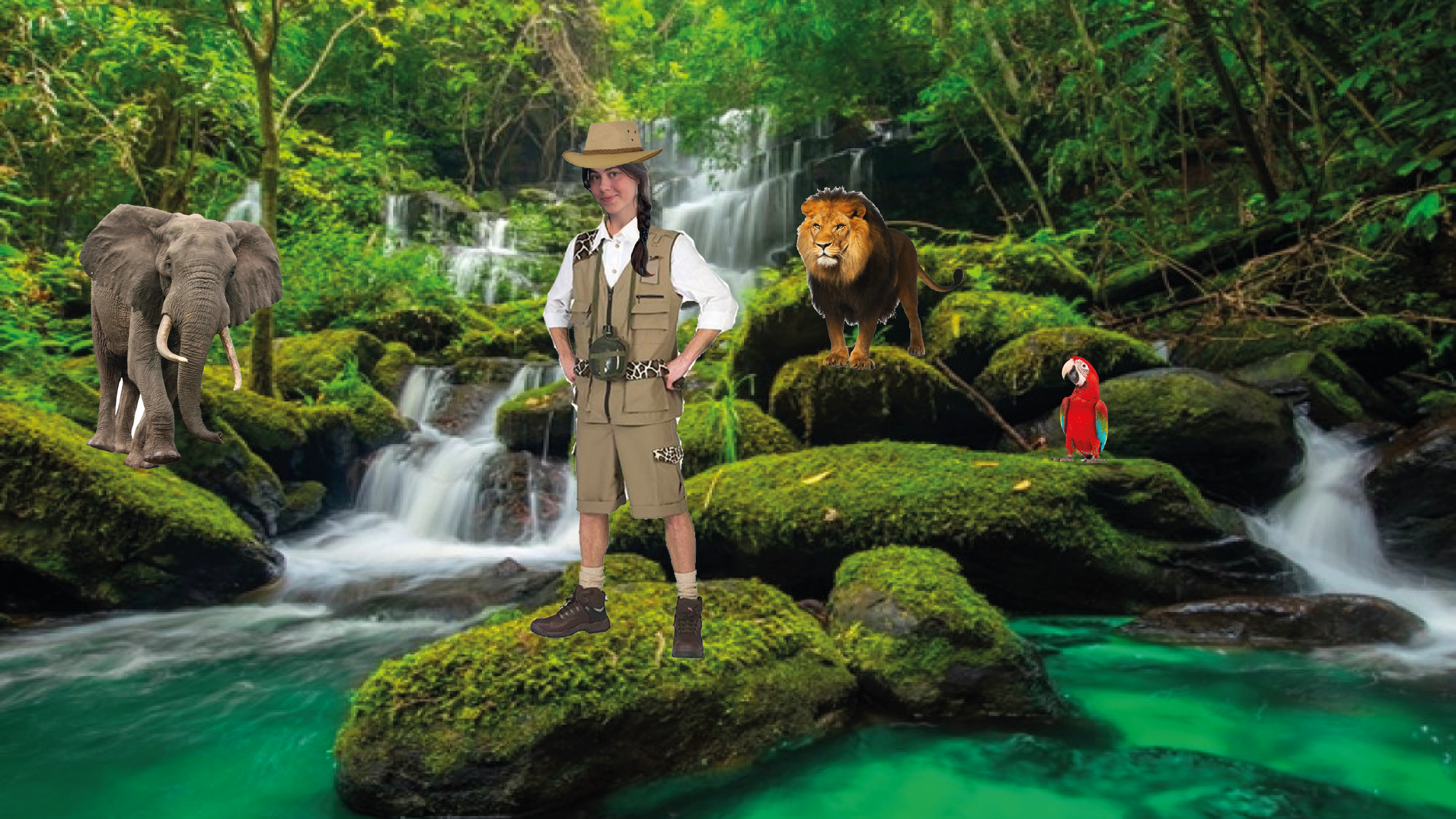 Jungle